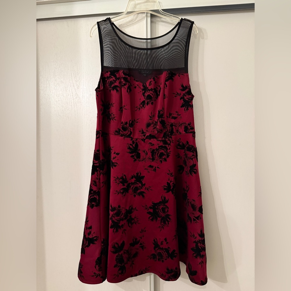 Trixxi Black and Burgundy Floral Mini Dress